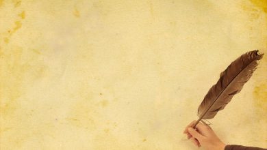 Түсінде қамшы көрсе не болады 2024