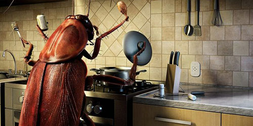 Түсінде тарақан көрсең