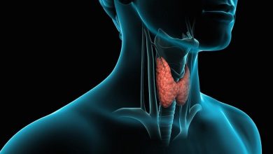 қалқанша без деген не